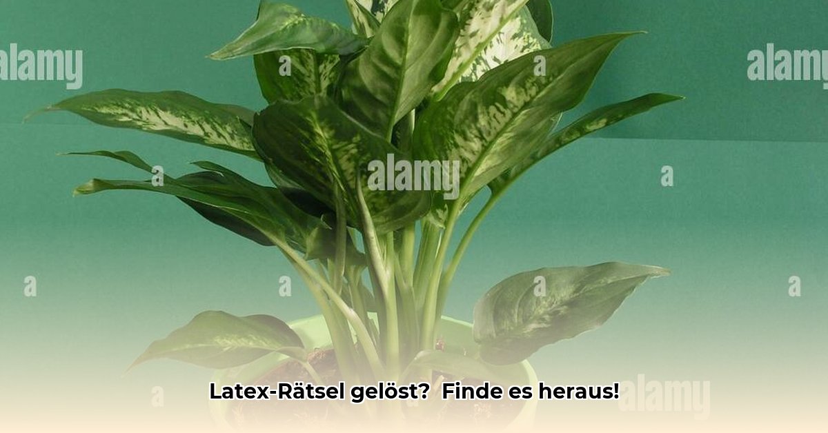 gummiartiger-pflanzensaft